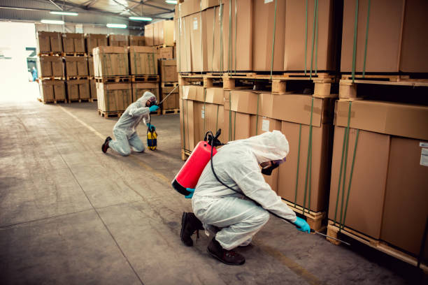 Best Wasp Removal Services  in South Elgin, IL