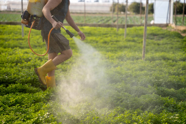 Pest Prevention Services in South Elgin, IL