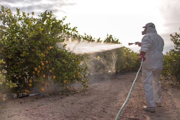 Best Pest Prevention Services  in South Elgin, IL