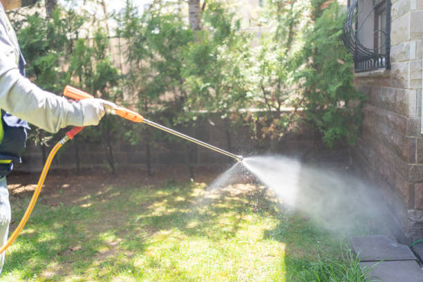 Best Best Pest Control Companies  in South Elgin, IL