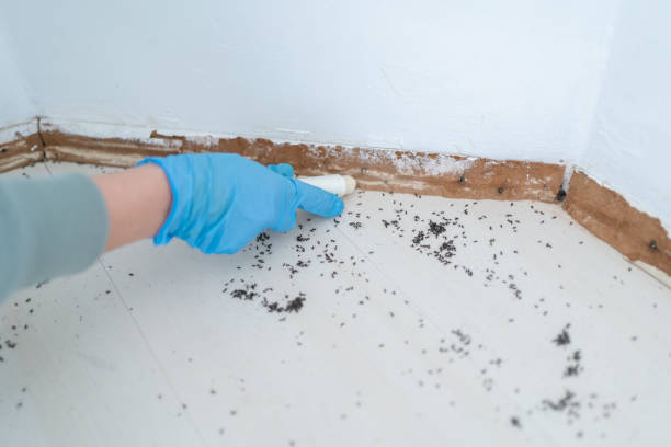 Best Commercial Pest Control Services  in South Elgin, IL